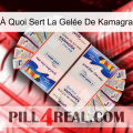 À Quoi Sert La Gelée De Kamagra kamagra1